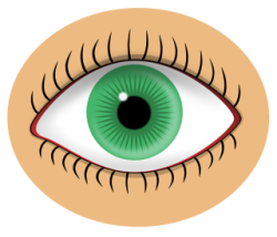Free Eye Color Cliparts, Download Free Clip Art, Free Clip ...