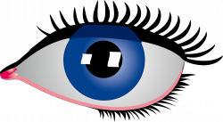 Eye Rebus Clip art - Simple cartoon big blue eyes 2353*1292 ...