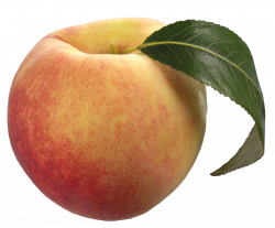 Peach with Green Leaf PNG Clipart - Best WEB Clipart
