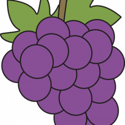 Grapes Clipart new year clipart hatenylo.com