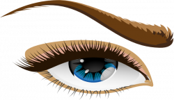 Human Eye 2 Clip Art at Clker.com - vector clip art online ...
