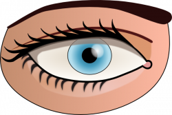 Free Human Eye Cliparts, Download Free Clip Art, Free Clip ...