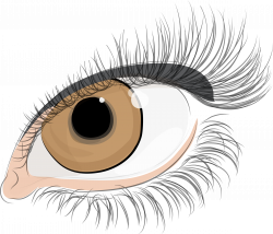 Clipart - Eye (#10)