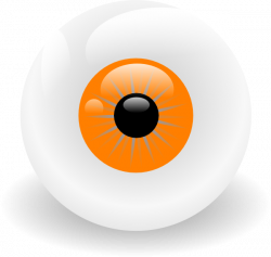 Eye Ball Orange Clip Art at Clker.com - vector clip art online ...