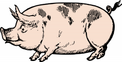 Pig Images Free Clipart | Free download best Pig Images Free Clipart ...