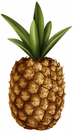 Pineapple PNG Clipart - Best WEB Clipart