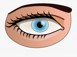Eye Png - Parts Of The Body Eye #705908 - Free Cliparts on ...