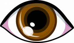 Brown Eye Drawing | Clipart Panda - Free Clipart Images