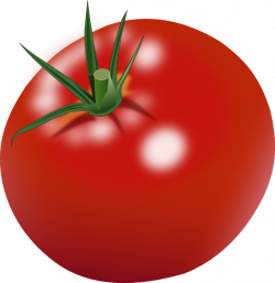 Tomato Clip Art at Clker.com - vector clip art online, royalty free ...