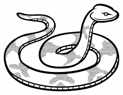 28+ Collection of Viper Clipart Black And White | High quality, free ...