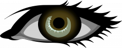 Eye Clip art - Human Eye Cliparts 2400*964 transprent Png Free ...