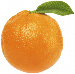 Orange with Leaf PNG Clipart - Best WEB Clipart