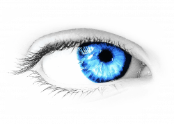 Eye PNG Transparent Eye.PNG Images. | PlusPNG