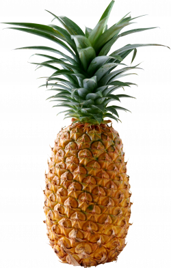 Pineapple Ten | Isolated Stock Photo by noBACKS.com
