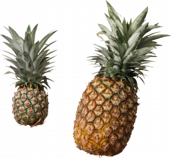 Pineapple Thirty | Isolated Stock Photo by noBACKS.com