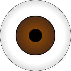 Tonlima Olhos Castanhos Brown Eye Clip Art at Clker.com - vector ...