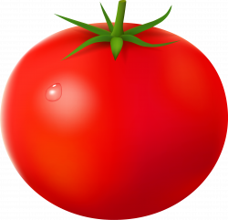 Tomato / Image ID: 1022 | PNG Photo with Transparent Background