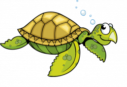 Sea turtle Tortoise Cartoon - Bubble turtle cartoon turtle 762*526 ...