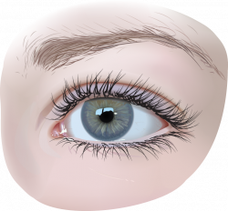 Vector eye by Armonah on Clipart library - Clip Art Library