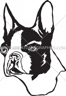 Boston Terrier | Production Ready Artwork for T-Shirt Printing