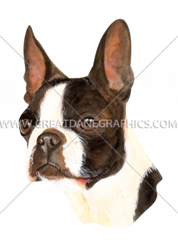 Boston Terrier | Production Ready Artwork for T-Shirt Printing