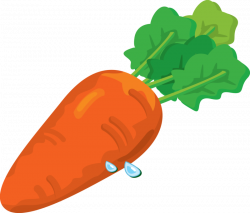 BEST 100+ Free Carrot Clipart Images Download【2018】