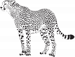 Cheetah Silhouette PNG Transparent Clip Art Image | Gallery ...