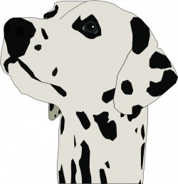 Dalmatian Head Clip Art at Clker.com - vector clip art online ...