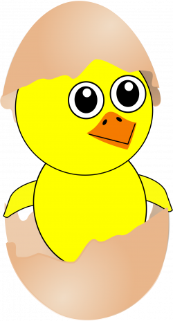 Clipart - Funny Chick Cartoon Newborn Coming Out from the Egg with a ...