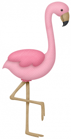 Sunny Holidays | Pinterest | Flamingo, Clip art and Bird