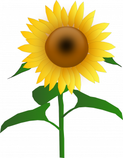 Free photo: Clipart sunflower - graphic, sunflower, flower - Non ...