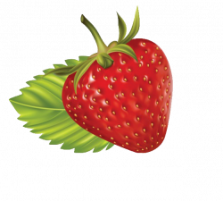 Free strawberry clipart fruit clip art 3 - WikiClipArt
