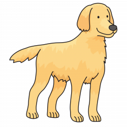 28+ Collection of Golden Retriever Clipart Png | High quality, free ...