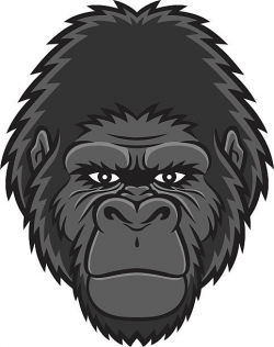 Gorilla face clipart 5 » Clipart Station
