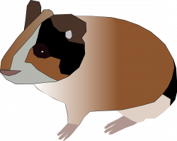 28+ Collection of Guinea Pig Clipart Png | High quality, free ...