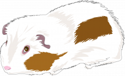 Guinea Pig Clipart at GetDrawings.com | Free for personal use Guinea ...