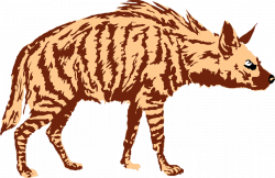 Hyena PNG images free download