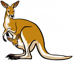 The Top 5 Best Blogs on Tree Kangaroo Clipart