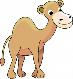 Camel Clipart Face Free collection | Download and share Camel ...