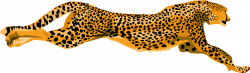 28+ Collection of Leopard Clipart Images | High quality, free ...