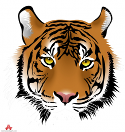 Free Leopard Face Cliparts, Download Free Clip Art, Free ...