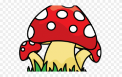 Drawn Mushroom Wild Mushroom - Mushrooms Draw Png Clipart ...