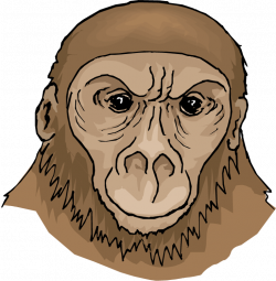 Free Ape Clipart