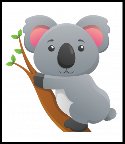 Incredible Koala Bear Clipart Face Pencil And In Color Pics Of Cute ...