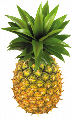 Pineapple One | Isolated Stock Photo by noBACKS.com
