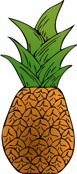 Alternative Pineapple Clipart | i2Clipart - Royalty Free Public ...
