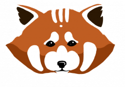 28+ Collection of Red Panda Face Drawing | High quality, free ...