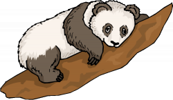 Free Panda Bear Clipart