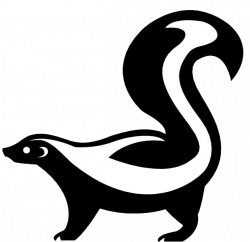 Cartoon drawing of Skunk | letterboxing | Pinterest
