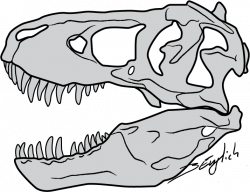 T-Rex Skull by Belverine on deviantART | Tattoo ideas! | Pinterest ...